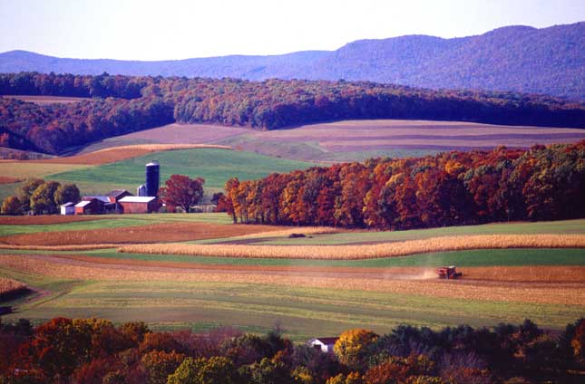 farming