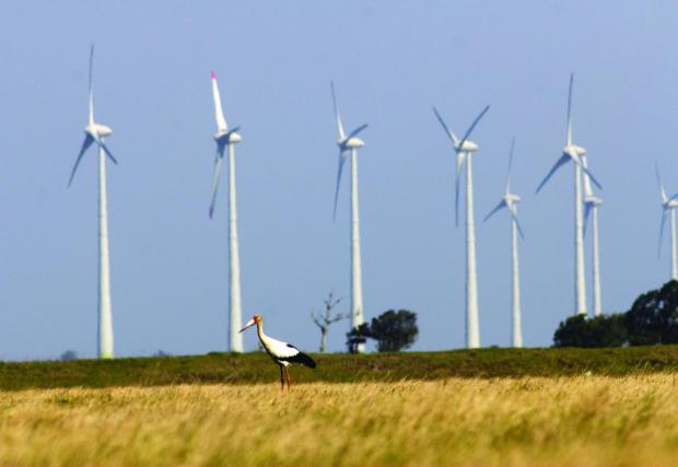 wind farm