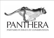 panthera