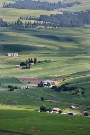 farmland