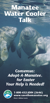 manatee